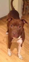 Dixon - ADOPTED 09.25.16