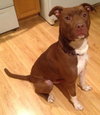 Dixon - ADOPTED 09.25.16