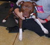 Dixon - ADOPTED 09.25.16