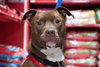 Dixon - ADOPTED 09.25.16