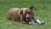 Dixon - ADOPTED 09.25.16
