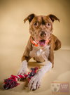 Dixon - ADOPTED 09.25.16