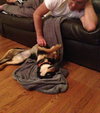 Ij Litter Leni - ADOPTED 11.21.13