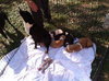 Kuvo Jr - Gj Litter ADOPTED 06.26.18