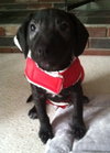 Hj Litter Evander - ADOPTED 11.25.13