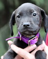 Hj Litter Eros - ADOPTED 11.23.13