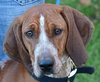 Kyla - ADOPTED 01.04.14