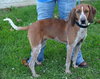 Kyla - ADOPTED 01.04.14