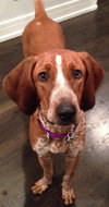 Kyla - ADOPTED 01.04.14