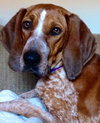 Kyla - ADOPTED 01.04.14