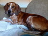 Kyla - ADOPTED 01.04.14