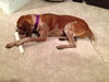 Kyla - ADOPTED 01.04.14