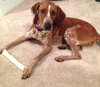 Kyla - ADOPTED 01.04.14
