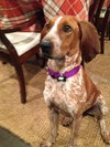 Kyla - ADOPTED 01.04.14