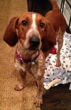 Kyla - ADOPTED 01.04.14
