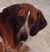 Kyla - ADOPTED 01.04.14