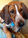 Kyla - ADOPTED 01.04.14