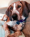 Kyla - ADOPTED 01.04.14