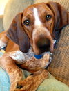 Kyla - ADOPTED 01.04.14