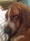 Kyla - ADOPTED 01.04.14