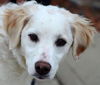 Marley-ADOPTED 12.15.13