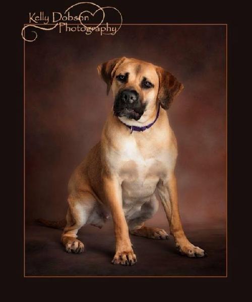 Skinny Mini - ADOPTED 01.11.14