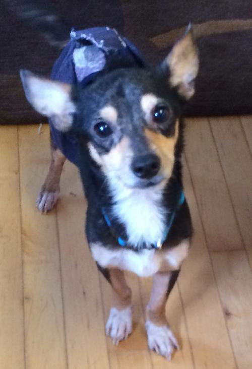 Fernando-ADOPTED 12.26.13