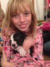 Nj Litter Niko Kringle - ADOPTED 12.19.13