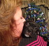 Nj Litter Dancer - ADOPTED 12.28.13