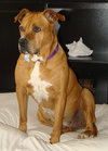 Momma Cass - ADOPTED 03.12.14