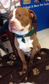 Rudolph - ADOPTED 02.01.14