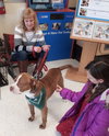 Rudolph - ADOPTED 02.01.14