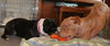 Rufus-ADOPTED 02.21.14