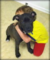 Solo - ADOPTED 01.18.14