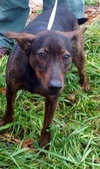 Frack - ADOPTED 04.04.14