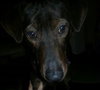 Frack - ADOPTED 04.04.14