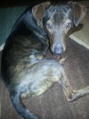 Frack - ADOPTED 04.04.14