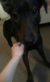Frack - ADOPTED 04.04.14