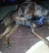 Frack - ADOPTED 04.04.14