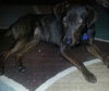 Frack - ADOPTED 04.04.14