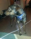 Frack - ADOPTED 04.04.14