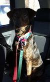 Frack - ADOPTED 04.04.14
