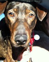 Frack - ADOPTED 04.04.14