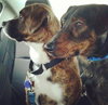 Frack - ADOPTED 04.04.14
