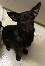 Frack - ADOPTED 04.04.14