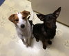 Frack - ADOPTED 04.04.14