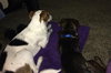 Frack - ADOPTED 04.04.14