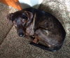 Frack - ADOPTED 04.04.14