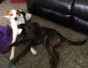 Frack - ADOPTED 04.04.14