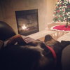Rj Litter Jewels (Mom) - ADOPTED 01.11.14